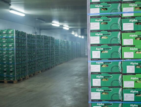 Ensuring harvested products are handled and distributed efficiently to maintain quality.