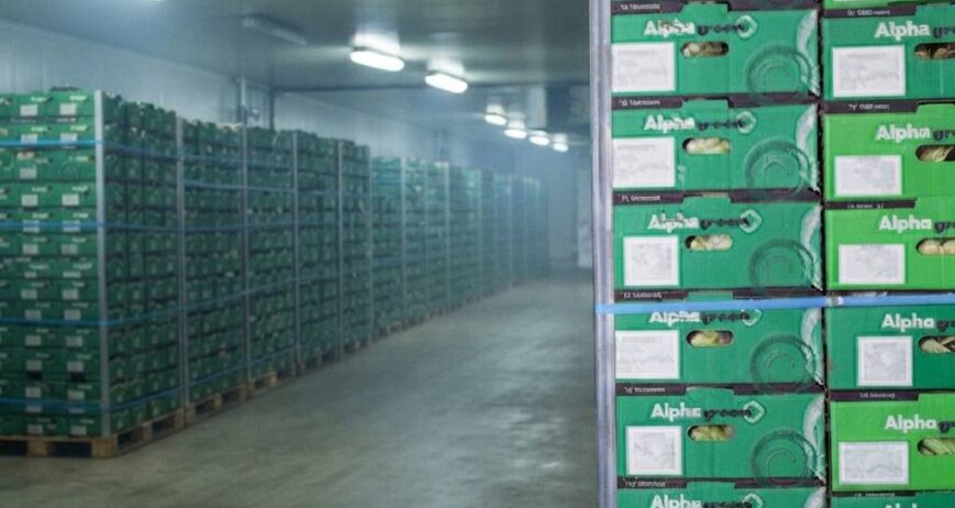 Ensuring harvested products are handled and distributed efficiently to maintain quality.