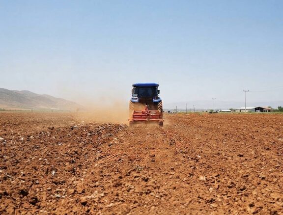Rotating crops to maintain soil health and reduce the risk of pests and diseases.