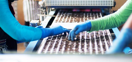 At Alphagreen, operations and procedures are carried out with utmost care and according to the highest standards. The Sowing procedure is all about the operation of the sowing machine and the ability of the technical assistant to keep track of the stock of materials.