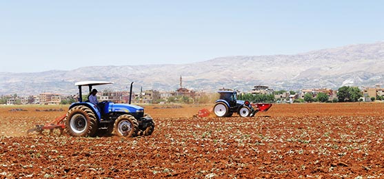 The Land Preparation Procedure outlines the requirements when preparing a land for farming. Only after dividing the land into plots and sectors, the Farm Operations Manager makes sure that the land is cleared, cleaned, plowed, leveled, drains are placed, pipelines for drip irrigation are erected, and sanitary facility is constructed and that the area is fenced when applicable.
