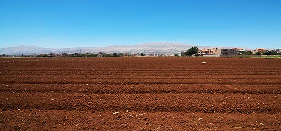 The results of the assessment are used to determine whether the site is put into crop production. Risks identified during assessment are ranked as low or high risks and corrective actions are taken accordingly. When the need arises, records are maintained to ensure that effective control measures are in place. A risk assessment is also present to identify all potential risks that might face the production process.