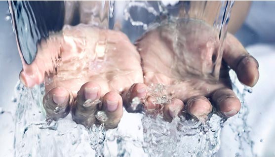 Whether it is at the farm production level (on-farm transport) or at dispatch (in the collection area), all those in charge of transporting fresh produce must make sure that the hygiene requirements are met before loading the produce onto the trucks or other means of transportation. Hand washing procedure is extremely strict for workers must clean their hands thoroughly before entering the food operation area and gloves must be used for handling harvested products. Hands should be washed prior to putting on gloves and post to changing them. At each production stage of every single procedure, hygiene conditions must be well-observed.